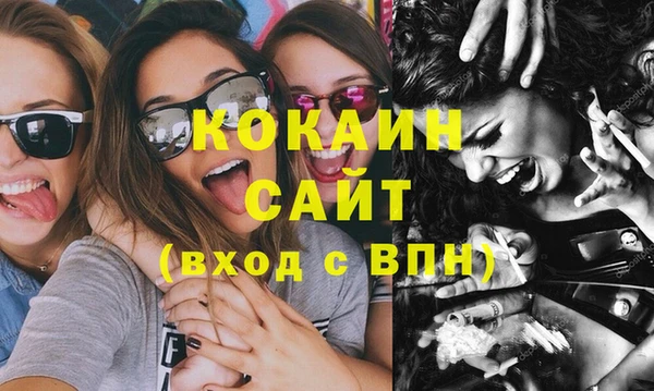 ешки Новозыбков