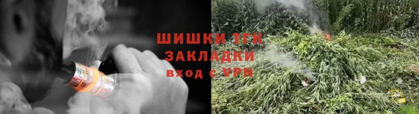 шишки Нязепетровск