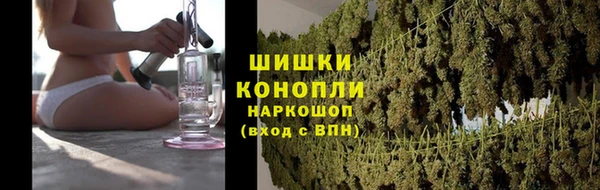 шишки Нязепетровск
