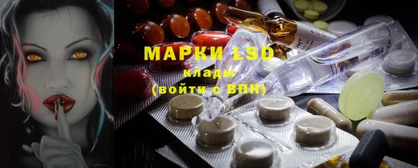 ешки Новозыбков